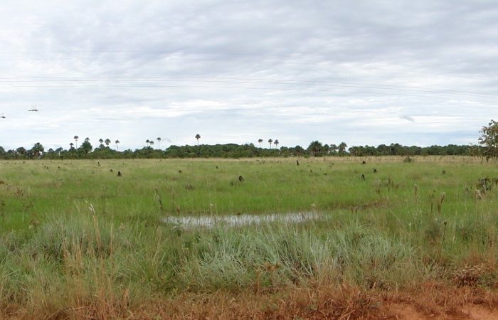 Colombia en paisajes, este es el llano Casanareño