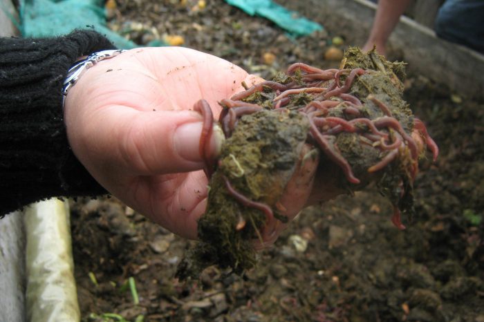 Fotografías: Germán García Barrera