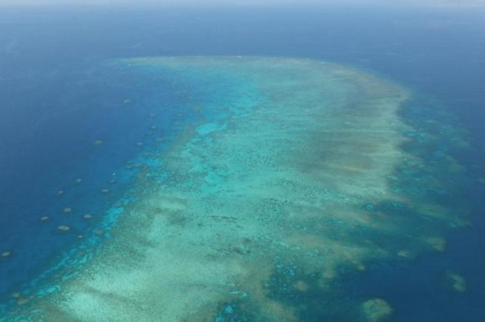 Nace alianza para monitorear áreas ricas en biodiversidad