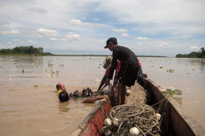 Es tiempo de veda para el bagre rayado