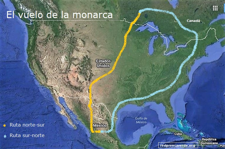 ruta-monarca