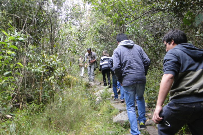 Ecología y Periodismo, este viernes en la Universidad Javeriana