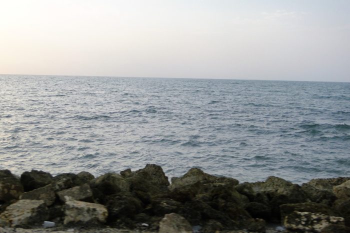 Instituciones de mar piden consenso en reforma del SINA