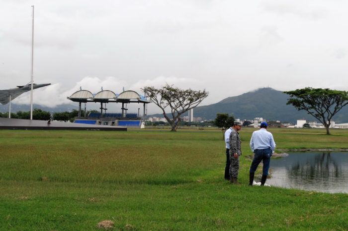 Manejo biológico contra colisiones aéreas
