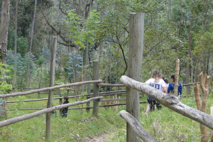 Nace Red de Estudiantes de Botánica en Colombia