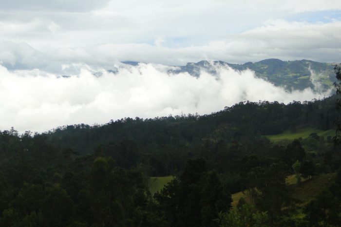 San Francisco, Cundinamarca