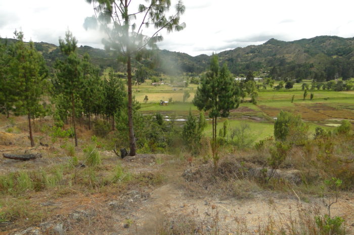 Las cifras del cambio climático en Colombia