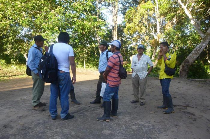 Diplomado en lenguas y culturas amazónicas