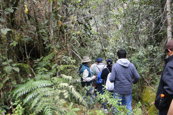Boyacá le apuesta a estudiar su biodiversidad