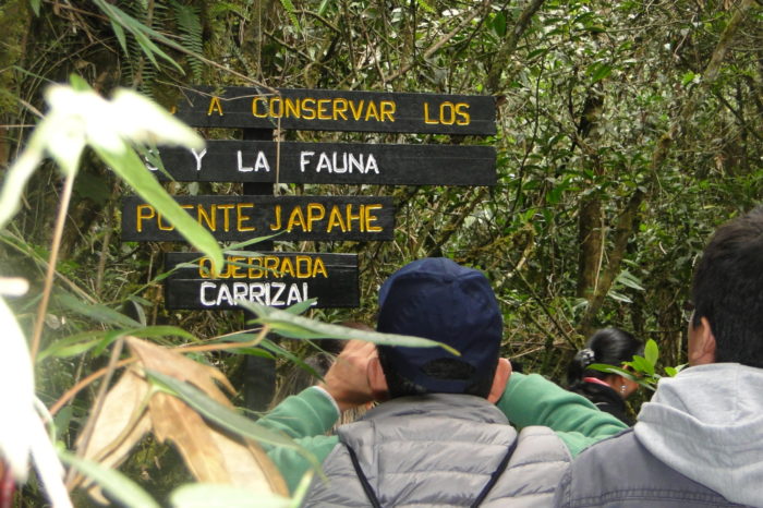La decepción de 13 Premios Nobel por los bajos recursos para la ciencia
