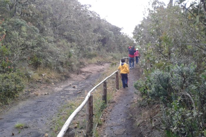 En Bogotá, maestros hablarán sobre sustentabilidad