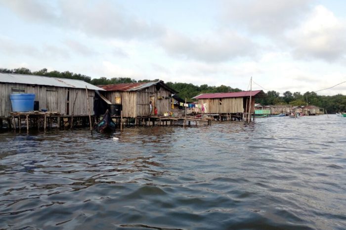 Cabo Manglares, nueva área protegida en Tumaco