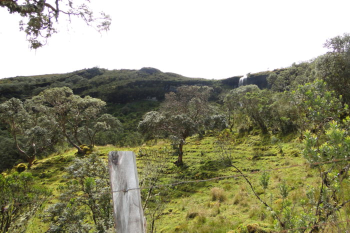 Procuraduría pide a Unesco declarar los páramos como Patrimonio Natural de la Humanidad