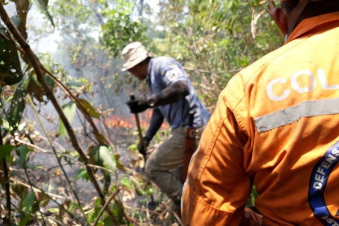 Incendio en La Macarena ha sido controlado en un 85%