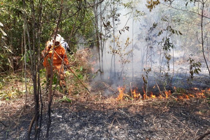 Apagado en su totalidad el incendio en La Macarena, en Guaviare quedan dos focos