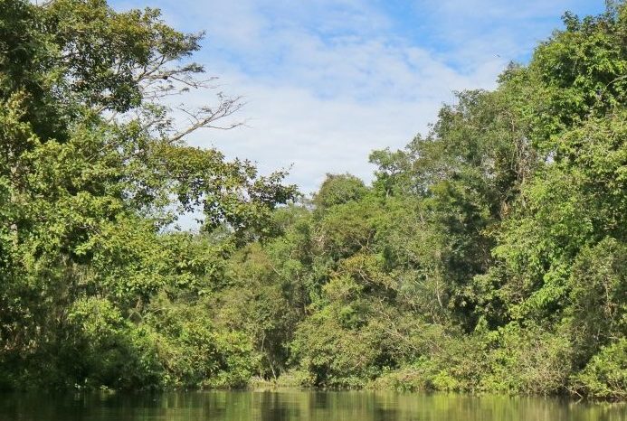 Últimos días para concurso fotográfico sobre la Amazonia