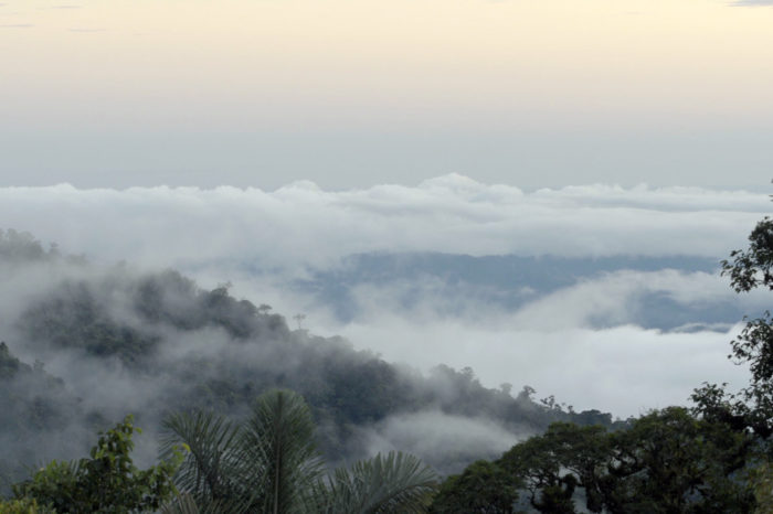 Creación y belleza, la selección ambiental del Festival de Cine de Cartagena