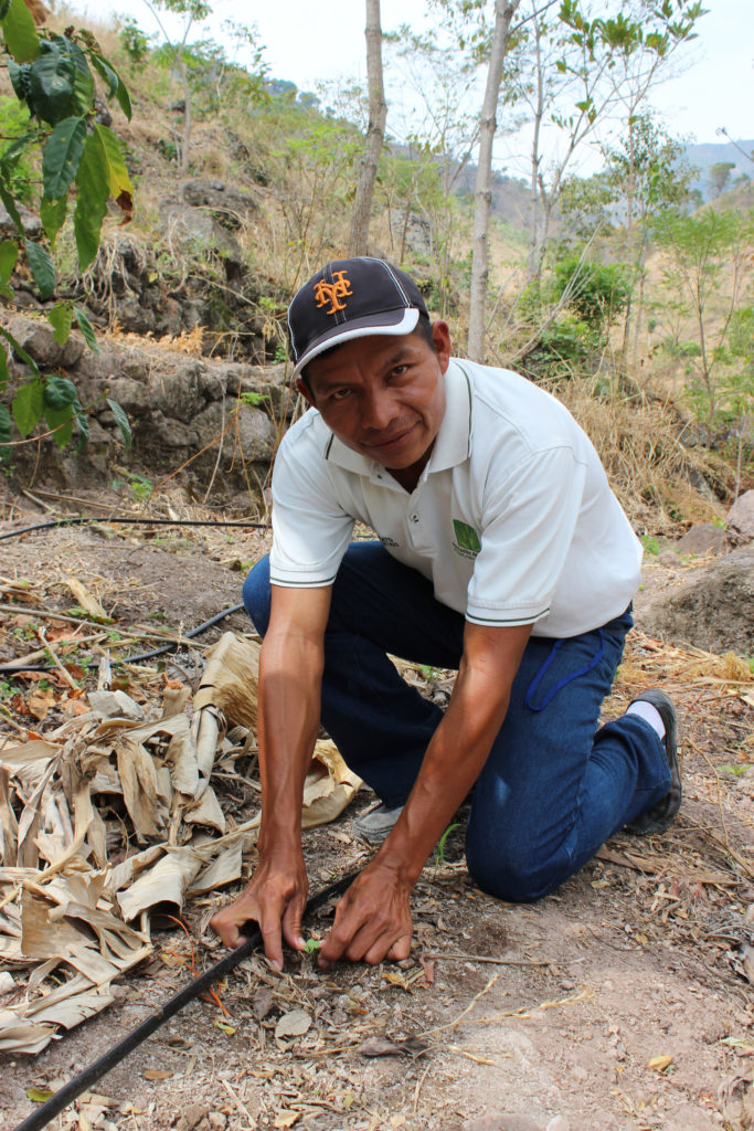 Implementación de riego por goteo en el Corredor Seco, área afectada por la sequía. Foto: Rubí López/FAO