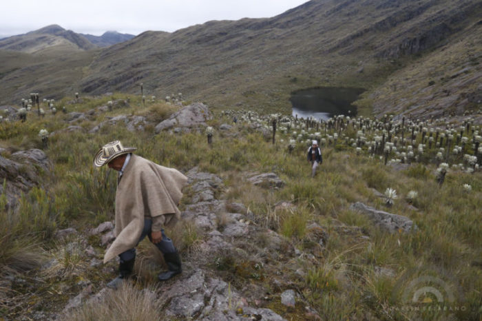 El duro pulso para delimitar el páramo de Pisba
