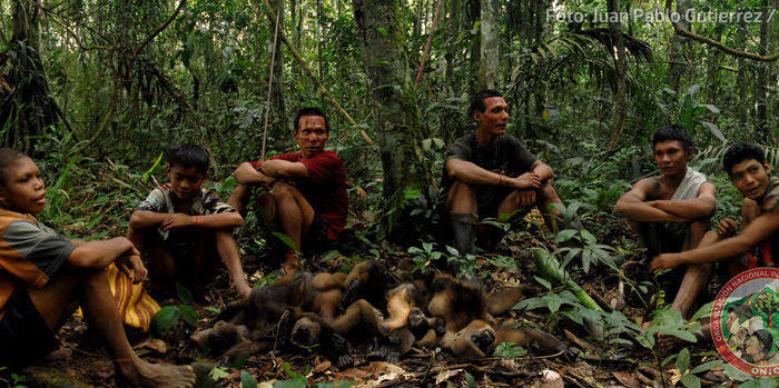 La carrera por proteger a los pueblos indígenas en aislamiento