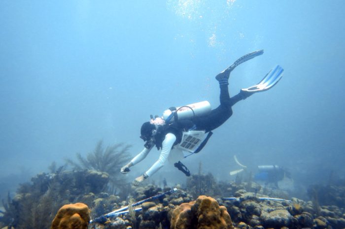 Capacitarán a voluntarios en monitoreo de ecosistemas marinos