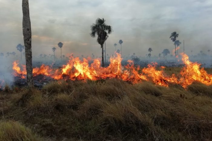 Incendios arrasaron 18 mil hectáreas en Paz de Ariporo