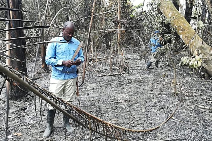 Dolors Armenteras habla de paz y conflictos ambientales