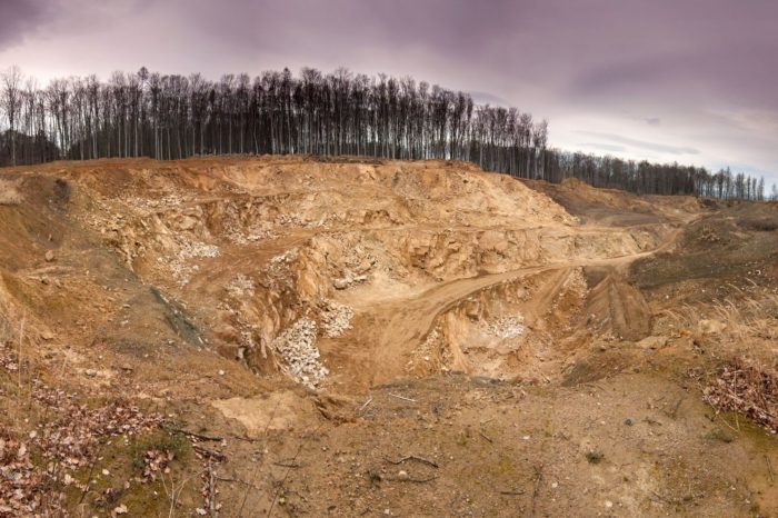 IPBES advierte sobre acelerada pérdida de biodiversidad