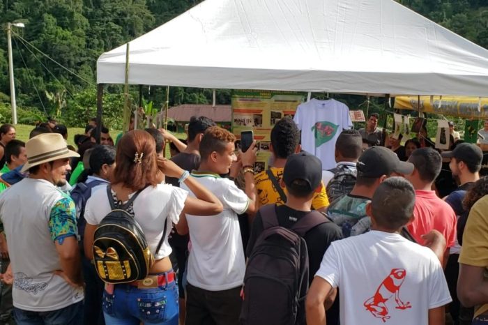 Crean festival para proteger a rana críticamente amenazada