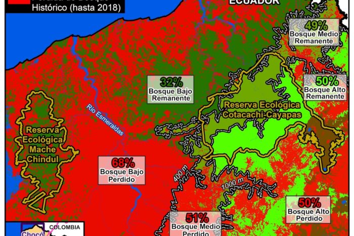 Norte del Chocó ecuatoriano ha perdido el 61% de sus bosques