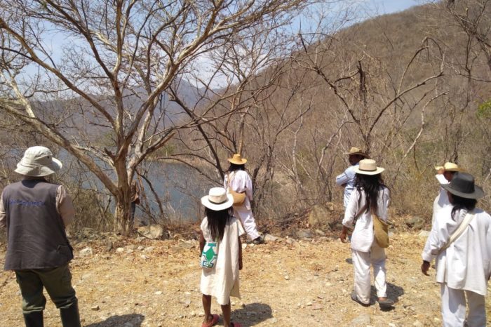 Sierra Nevada: los impactos de la minería en el territorio wiwa