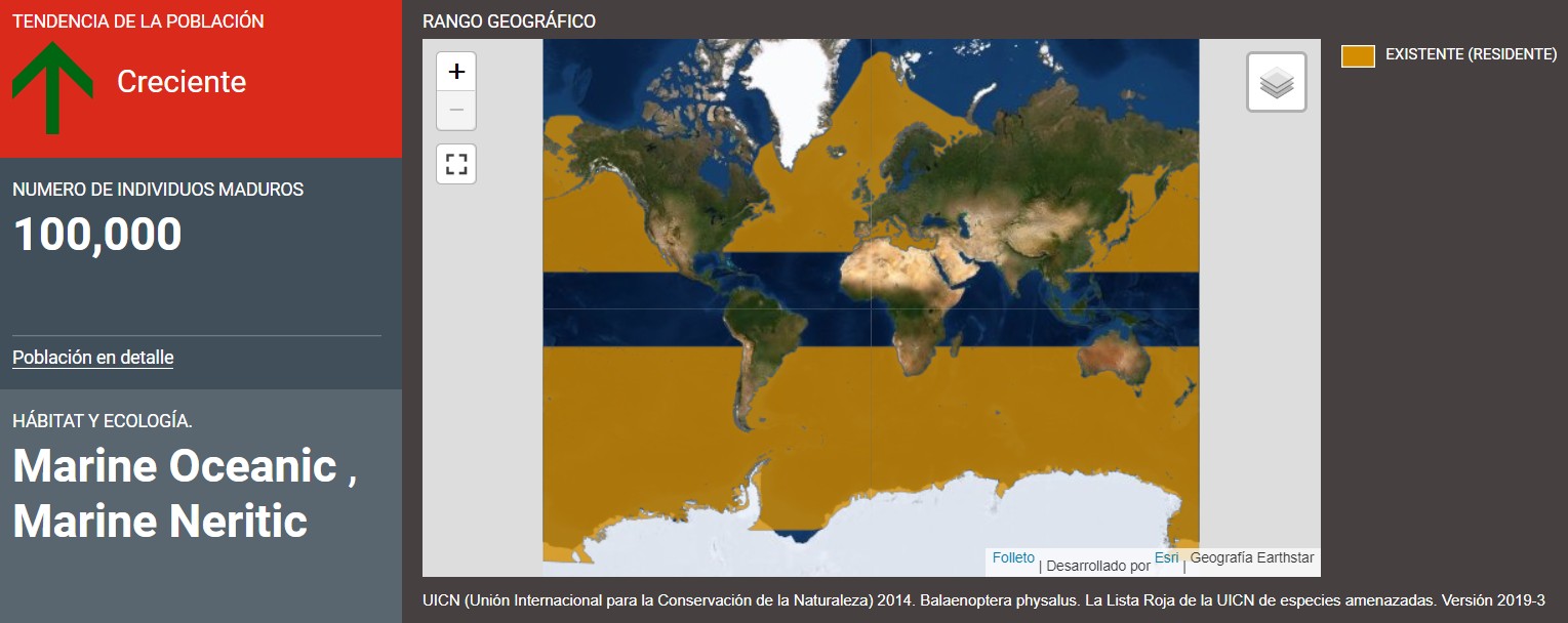 Rango de distribución de la ballena de aleta según UICN