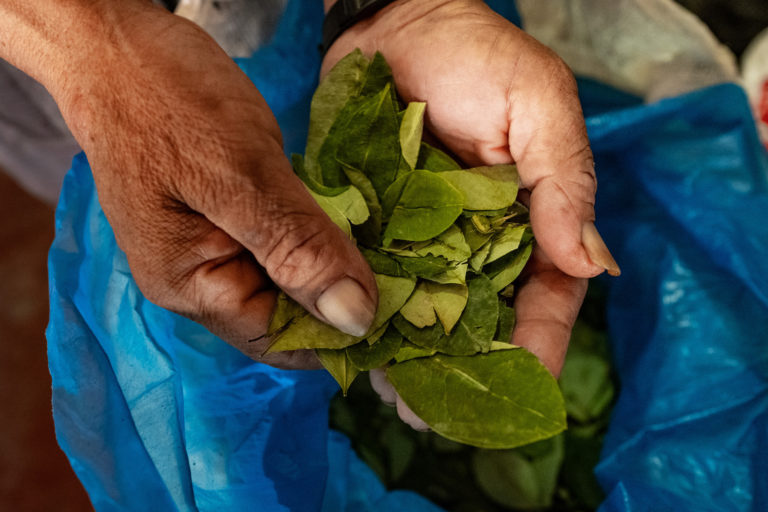Foto de Jason Houston/Upper Amazon Conservancy