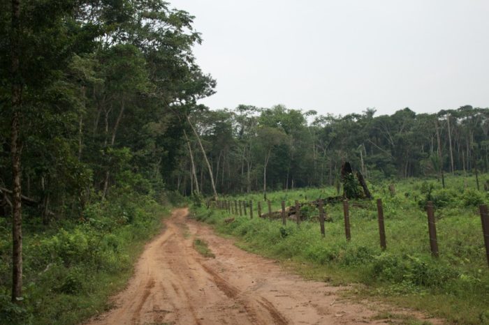 Guardaparques de PNN La Macarena viven en inminente peligro