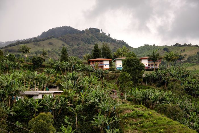 Premio a las mejores ideas ciudadanas para mitigar impactos del cambio climático