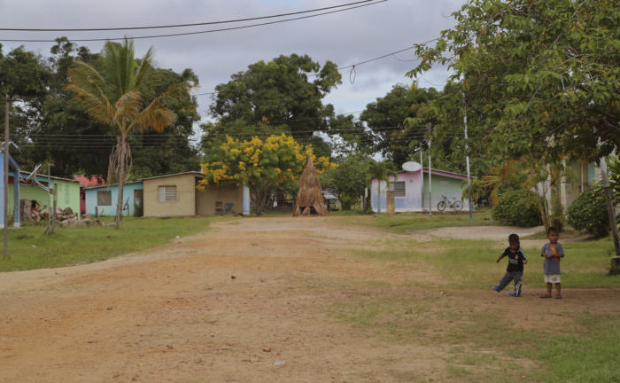 Latinoamérica: Tierra de resistentes II