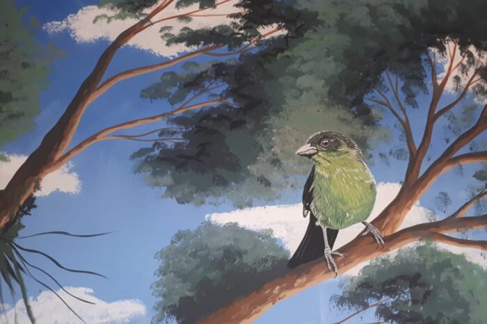 Murales y biodiversidad: el arte en la educación ambiental