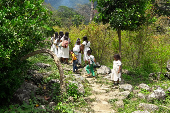 Inoperancia del gobierno conduce al etnocidio: organizaciones indígenas