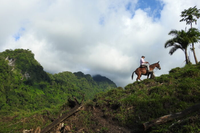 Serranía de Las Quinchas: la difícil gestión de un parque regional