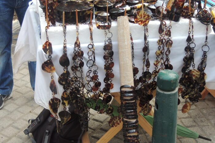 Un largo camino contra el tráfico de carey en Cartagena