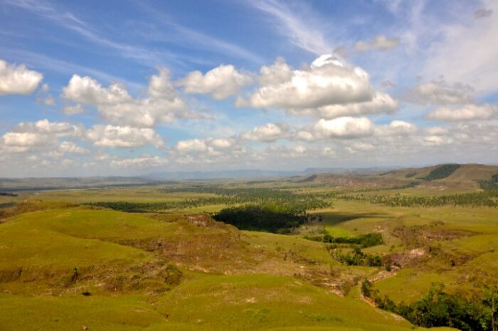 Pérdida de bosque en Amazonía equivale al tamaño de Chile