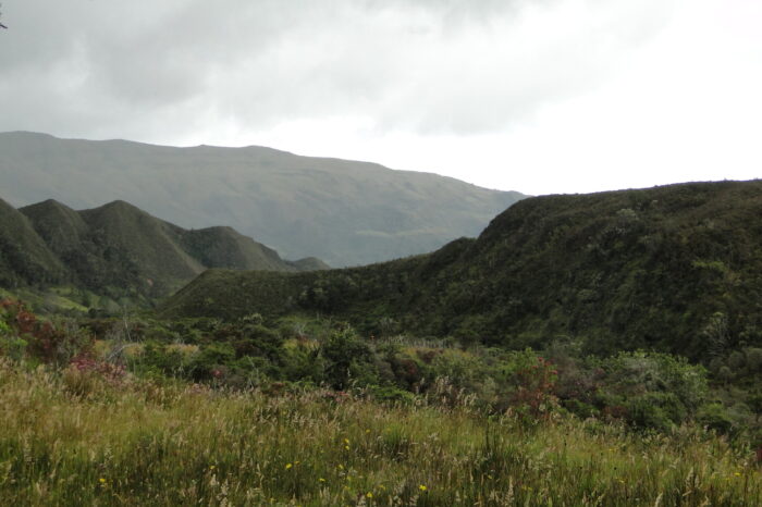 Páramo de Hirva, Boyacá, redprensaverde.org