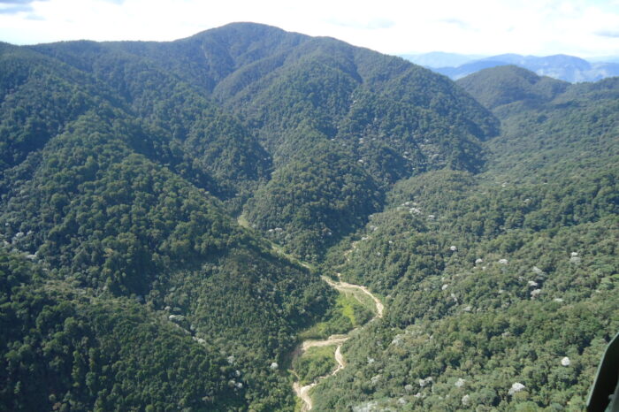 Las 27 mil hectáreas que Minambiente le 'encargó' a la CAM