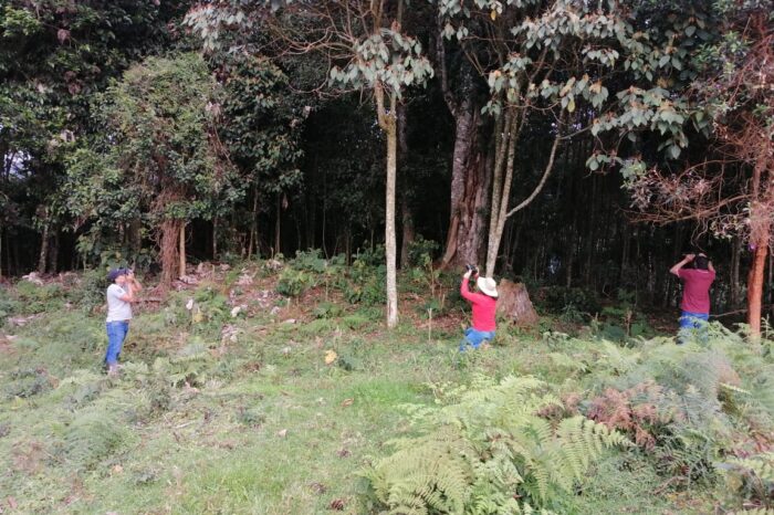 En Algeciras nace un nuevo grupo de monitoreo de la biodiversidad