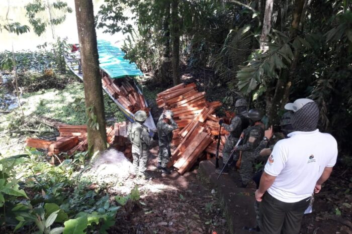 Madereros ilegales arrasan la Amazonia ecuatoriana en medio de la pandemia