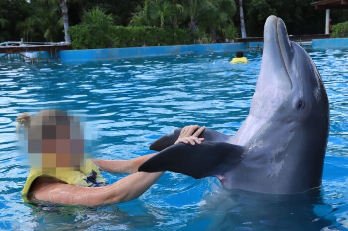 Denuncian crueldad en la industria turística que utiliza delfines en cautiverio