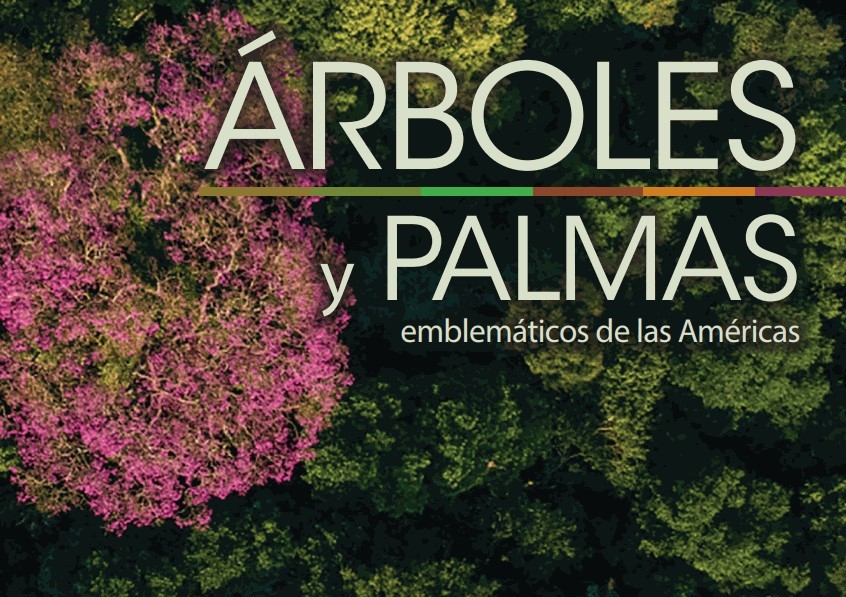 Editan primer catálogo de árboles y palmas emblemáticas de América - RED  PRENSA VERDE