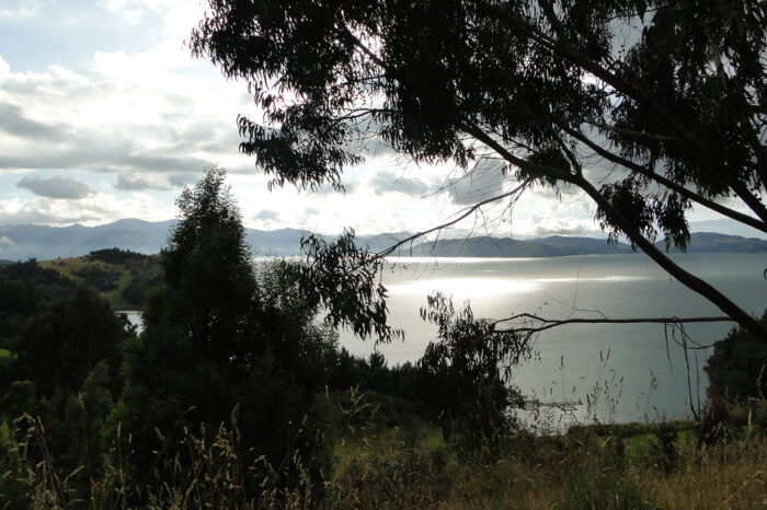 Lago de Tota: pretensiones de la tutela que instauró la Procuraduría