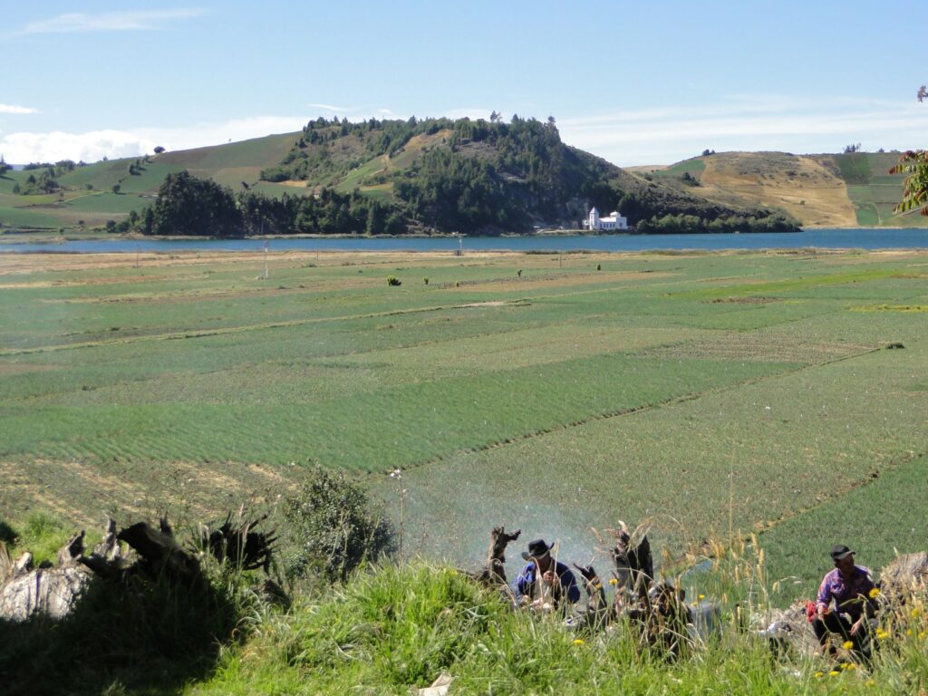 Lago de Tota, vereda de Daitó. Imagen @RPV