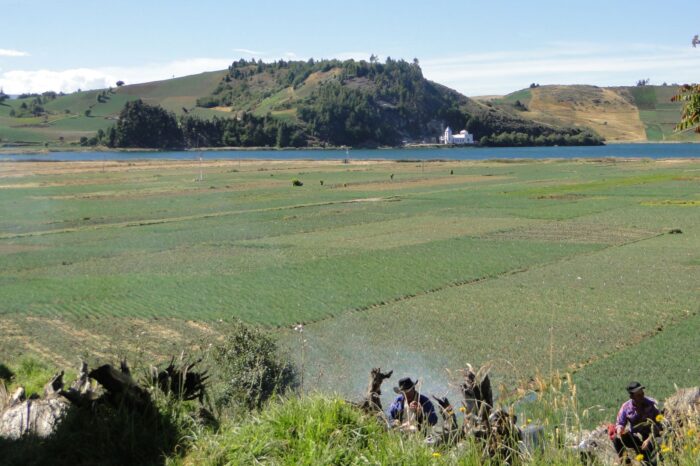 Procuraduría seguirá con los ojos puestos sobre el lago de Tota
